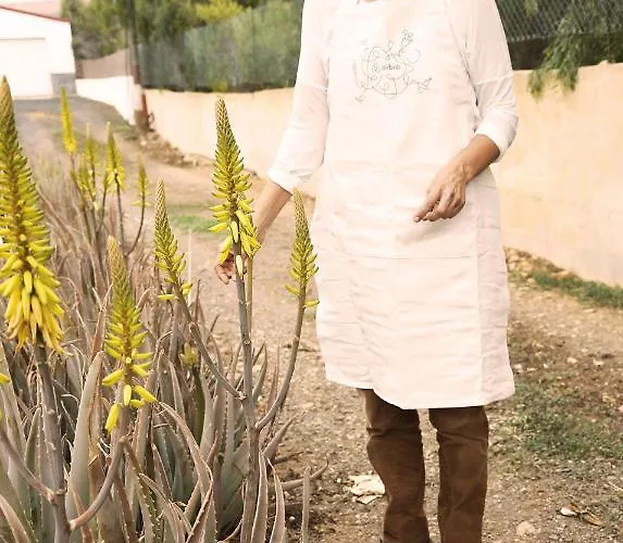 Casa Inspirada Bed & Breakfast Los Estancos