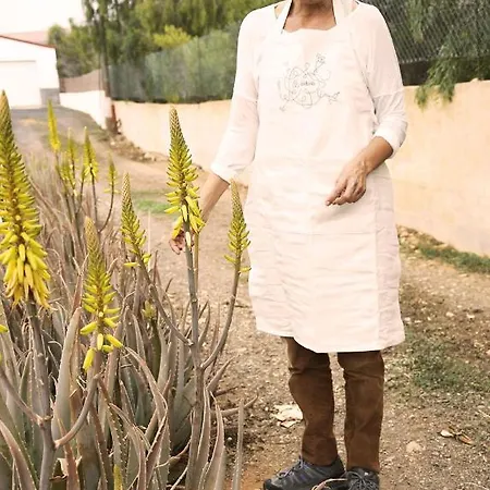 Casa Inspirada 住宿加早餐酒店 Los Estancos